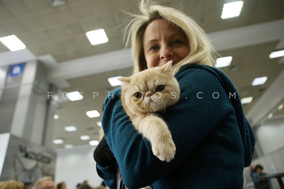 28th International Cat Show  / 28η Εκθεση μορφολογίας γάτας