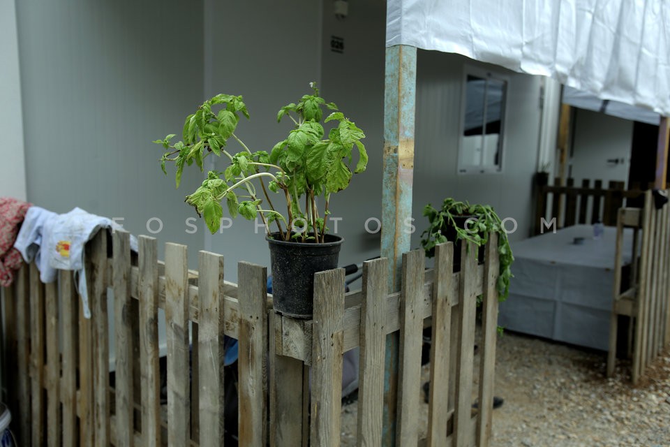 Refugee camp in Ritsona  / Κέντρο φιλοξενίας προσφύγων στην Ριτσώνα