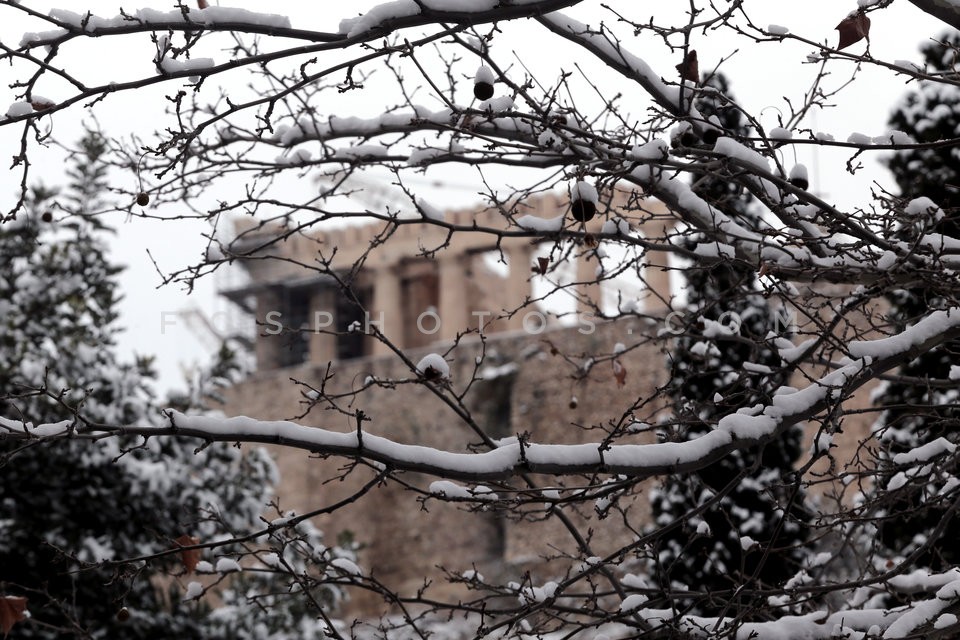 Snow in central Athens  / Εικόνες απο την Αθήνα μετά απο την χιονόπτωση