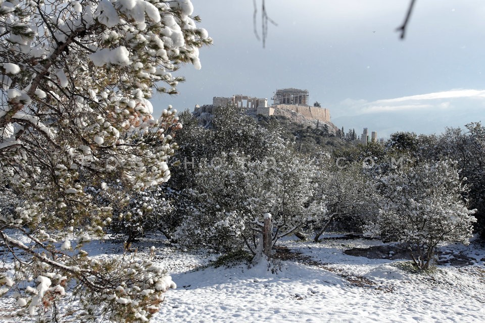 Snow in central Athens  / Εικόνες απο την Αθήνα μετά απο την χιονόπτωση