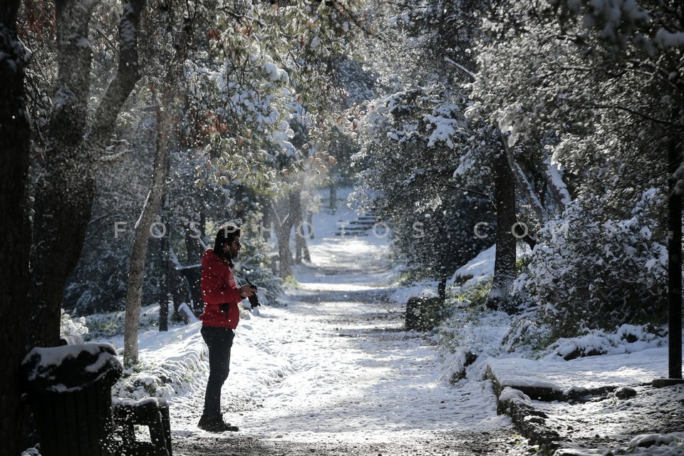 Snow in central Athens  / Εικόνες απο την Αθήνα μετά απο την χιονόπτωση