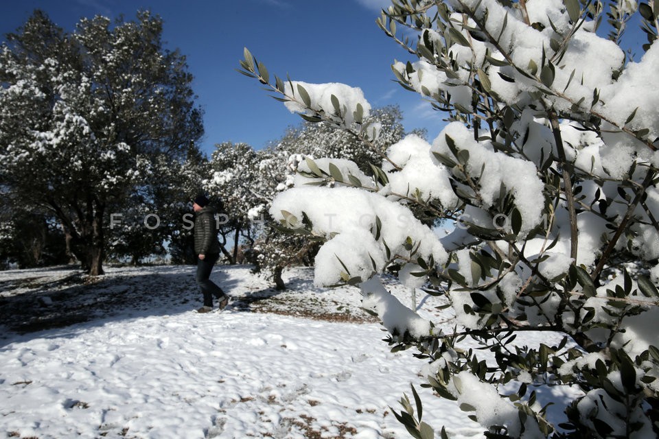 Snow in central Athens  / Εικόνες απο την Αθήνα μετά απο την χιονόπτωση