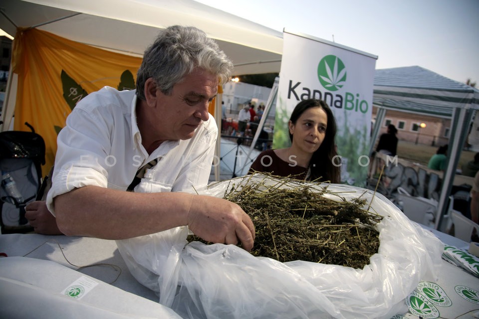 Athens Cannabis Protestival 2017 / Αντιαπαγορευτικό Φεστιβάλ - Γιορτή Κάνναβης 2017