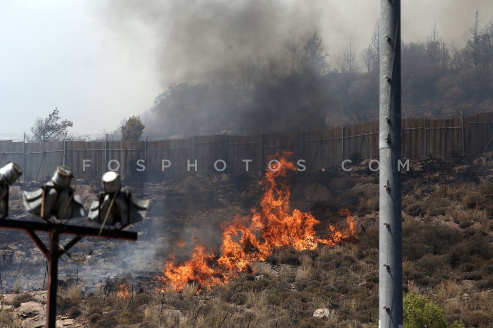 Fire in Kesariani south suburb of Athens  /  Πυρκαγιά στην Καισαριανή