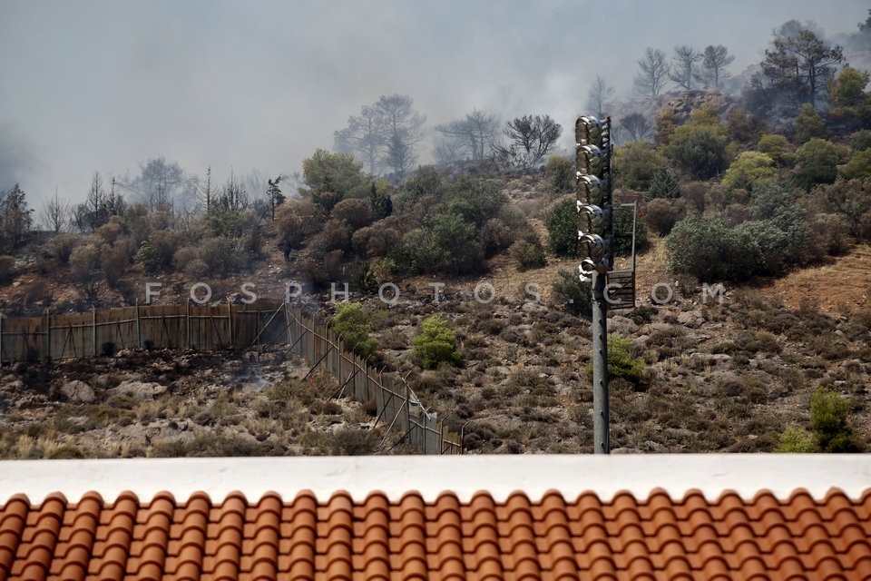 Fire in Kesariani south suburb of Athens  /  Πυρκαγιά στην Καισαριανή