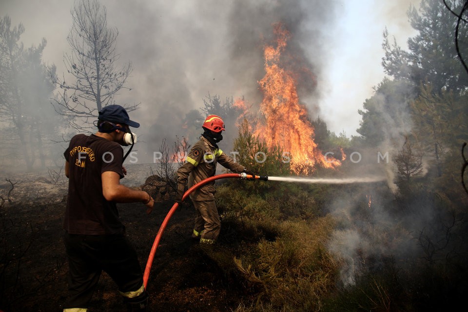 Greece Forest Fire / Φωτιά στην Ανατολική Αττική