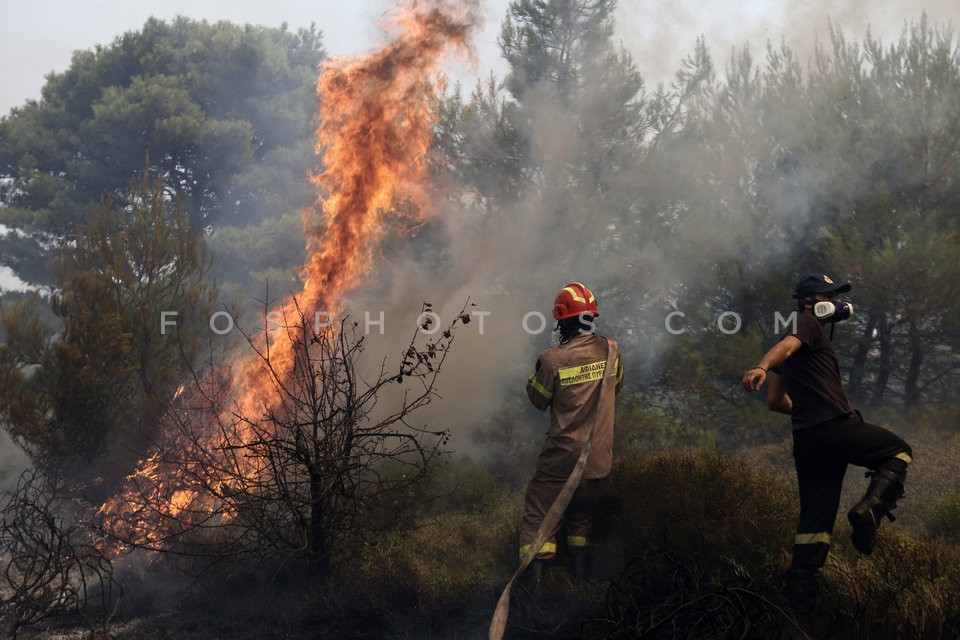 Greece Forest Fire / Φωτιά στην Ανατολική Αττική