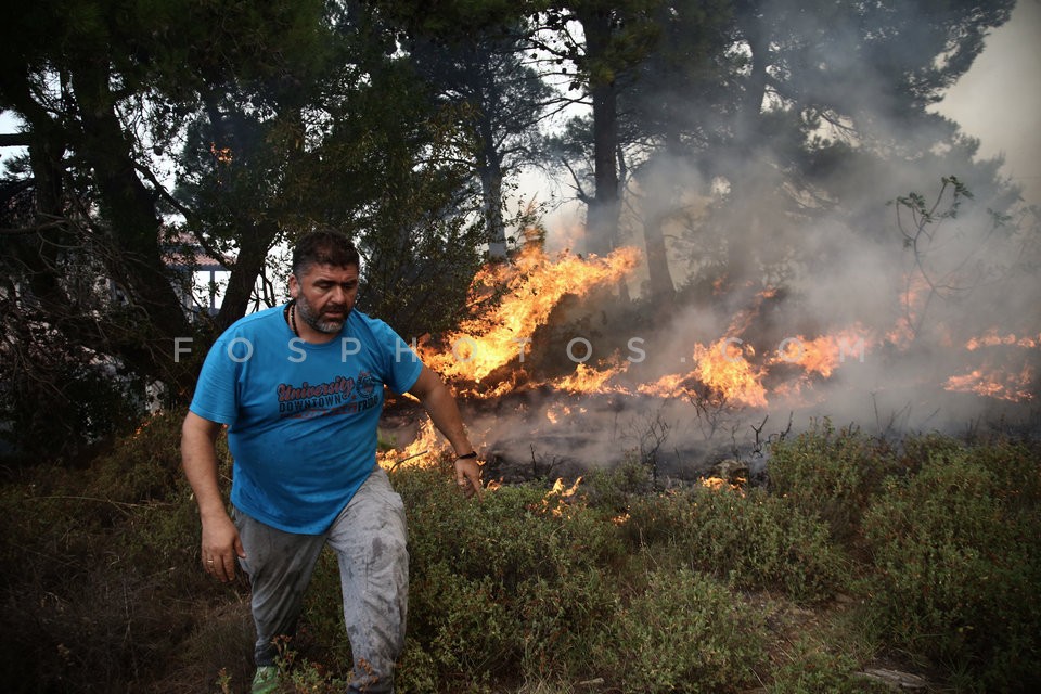 Greece Forest Fire / Φωτιά στην Ανατολική Αττική