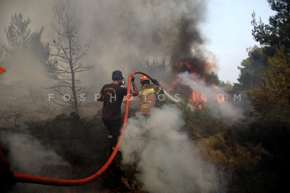 Greece Forest Fire / Φωτιά στην Ανατολική Αττική