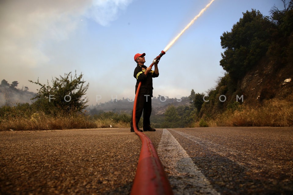 Greece Forest Fire / Φωτιά στην Ανατολική Αττική