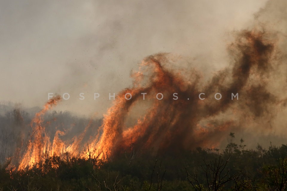 Greece Forest Fire / Φωτιά στην Ανατολική Αττική