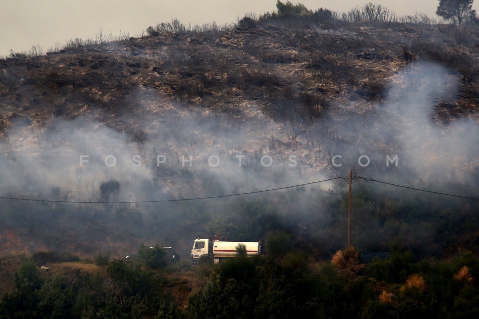 Greece Forest Fire / Φωτιά στην Ανατολική Αττική