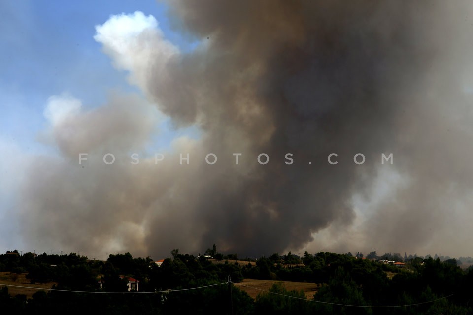 Greece Forest Fire / Φωτιά στην Ανατολική Αττική