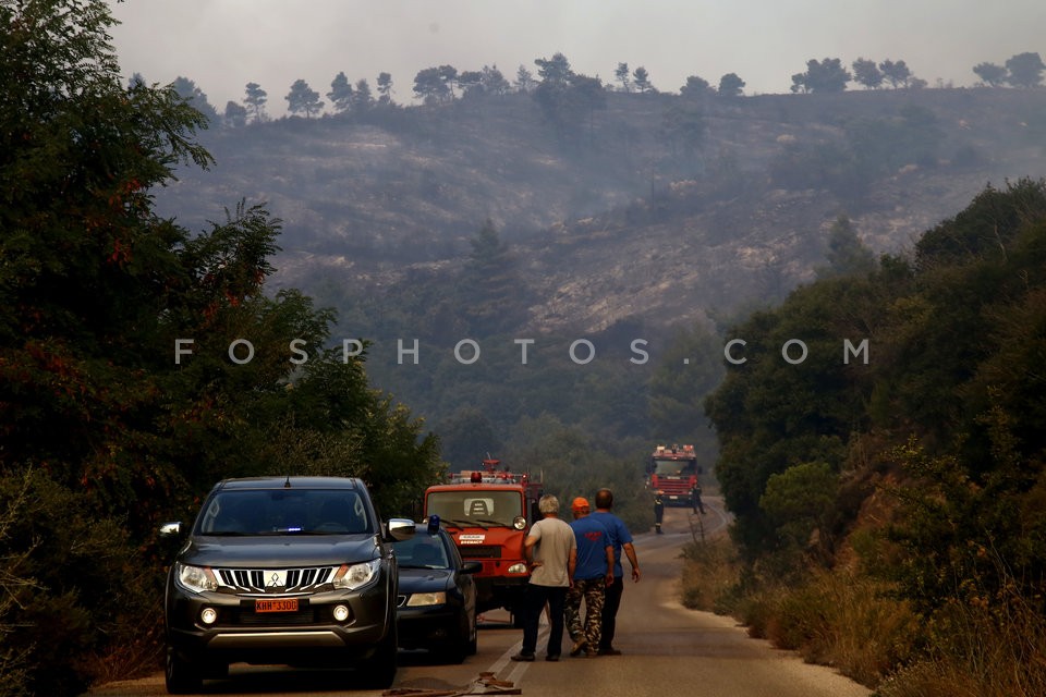 Greece Forest Fire / Φωτιά στην Ανατολική Αττική