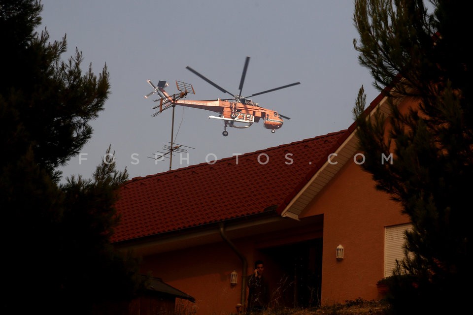 Greece Forest Fire / Φωτιά στην Ανατολική Αττική