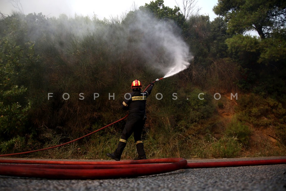 Greece Forest Fire / Φωτιά στην Ανατολική Αττική