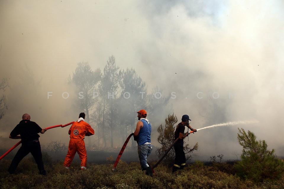 Greece Forest Fire / Φωτιά στην Ανατολική Αττική