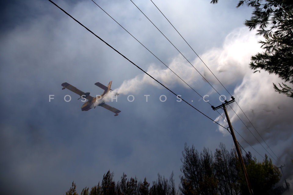 Greece Forest Fire / Φωτιά στην Ανατολική Αττική