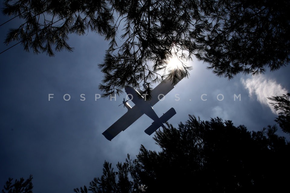 Greece Forest Fire / Φωτιά στην Ανατολική Αττική