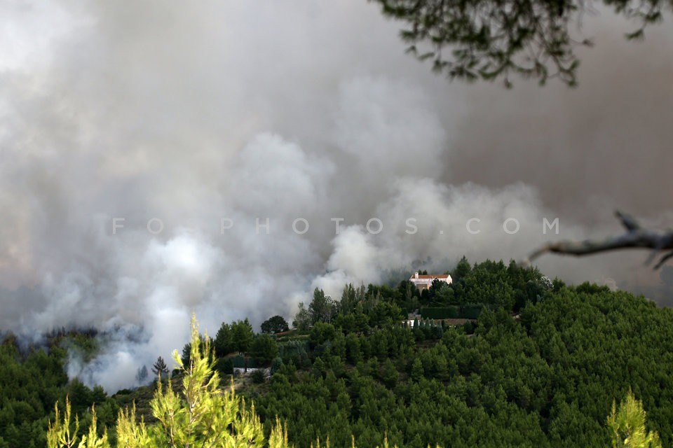 Greece Forest Fire / Φωτιά στην Ανατολική Αττική