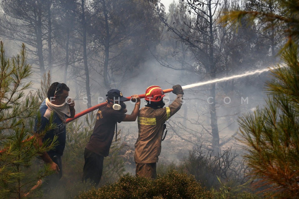 Greece Forest Fire / Φωτιά στην Ανατολική Αττική