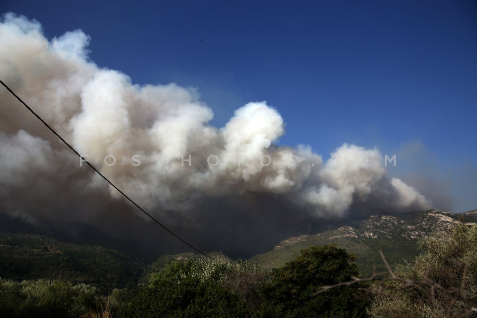 Greece Forest Fire / Φωτιά στην Ανατολική Αττική