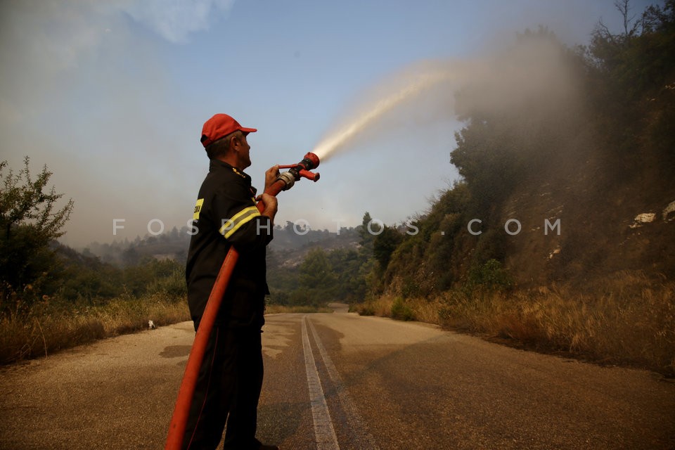 Greece Forest Fire / Φωτιά στην Ανατολική Αττική