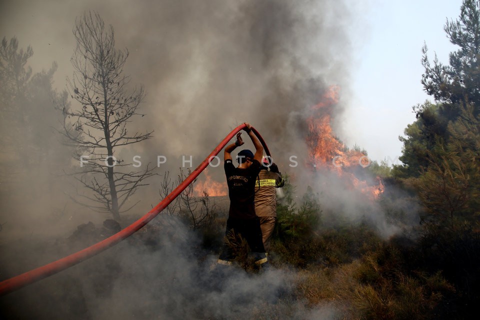 Greece Forest Fire / Φωτιά στην Ανατολική Αττική