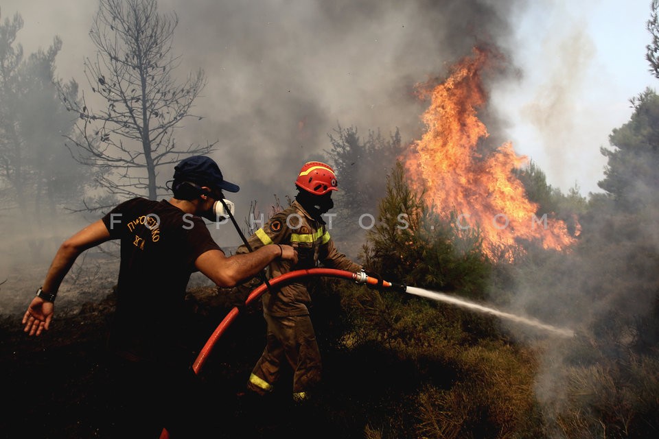 Greece Forest Fire / Φωτιά στην Ανατολική Αττική