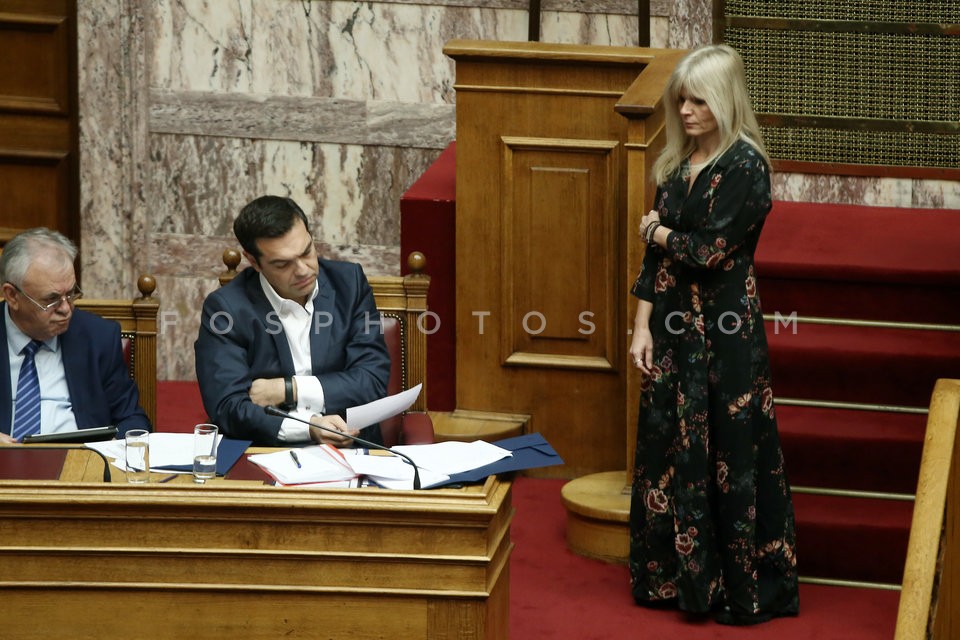 Debate in Parliament / Συζήτηση στην Βουλή