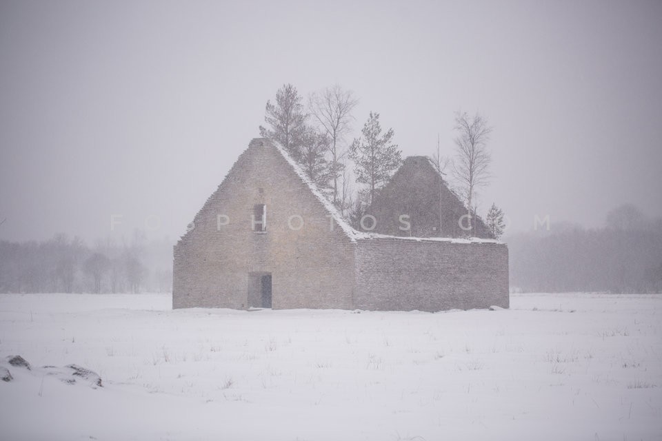 Ruined house with trees isnide it in a frozen landscape in Baltic region / Κατεστραμένο σπίτι με δέντρα στο εσωτερικό του σε παγωμένο περιβάλλον στην Βαλτική