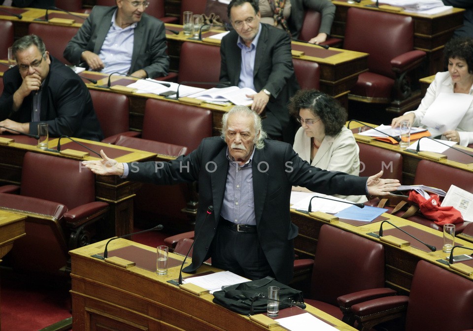 Discussion in plenary  / Ολομέλεια της Βουλής