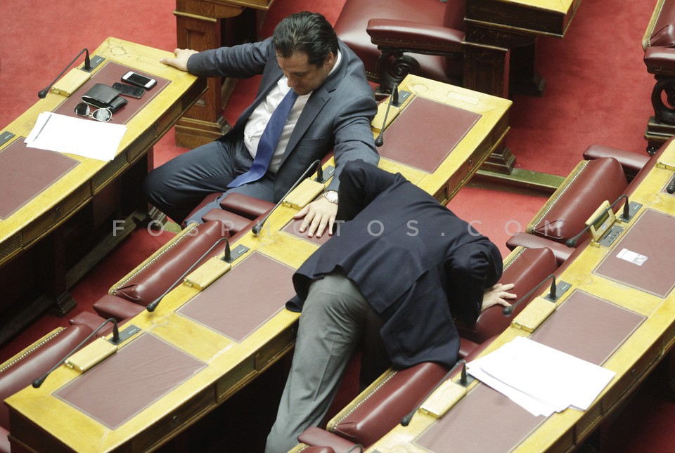 Discussion in plenary  / Ολομέλεια της Βουλής