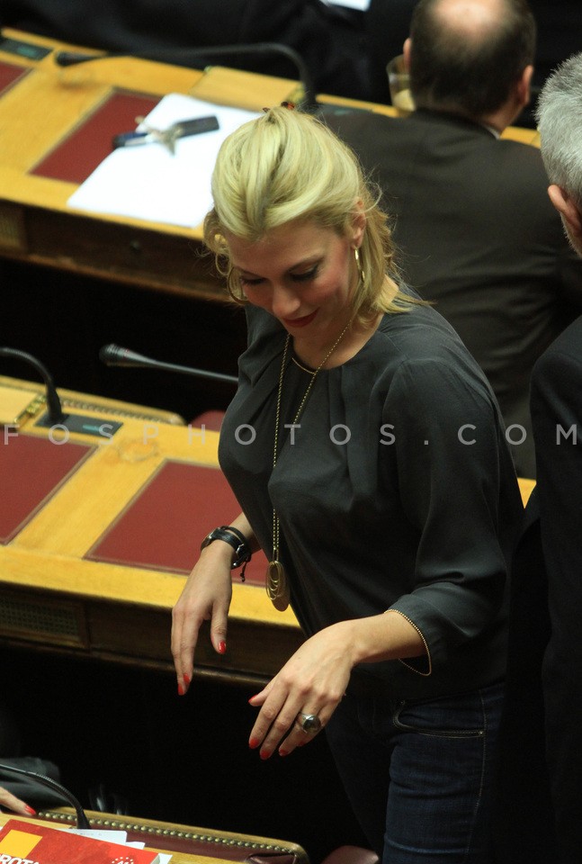 Plenary session at Parliament  /  Συζήτηση στην ολομέλεια της Βουλής