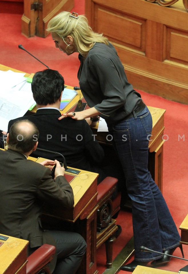 Plenary session at Parliament  /  Συζήτηση στην ολομέλεια της Βουλής