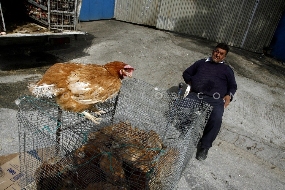 Open Bazaar at Shisto / Παζάρι στο Σχιστό