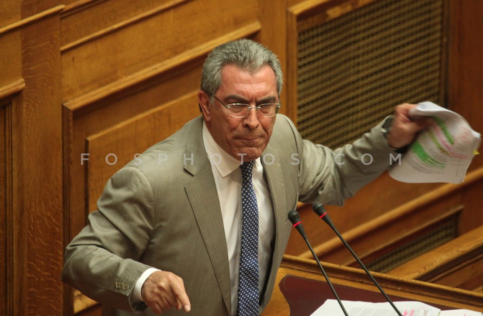 Debate at Parliament /  Συζήτηση στην Βουλή