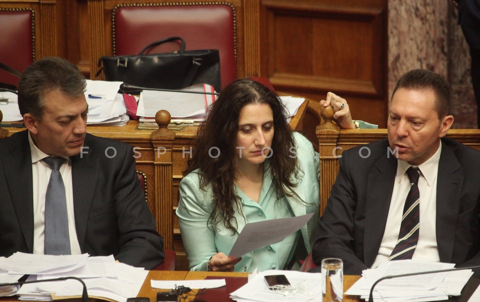 Debate at Parliament /  Συζήτηση στην Βουλή