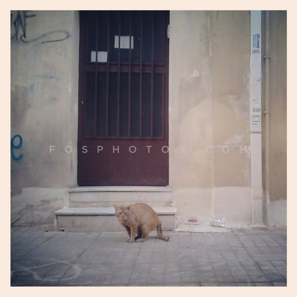 Empty City / Άδεια Πόλη