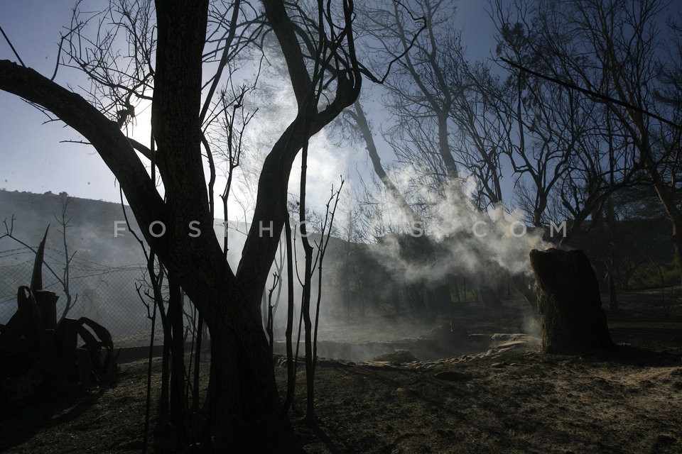 Wildfire at Marathon, Attica / Πυρκαϊά στον Μαραθώνα