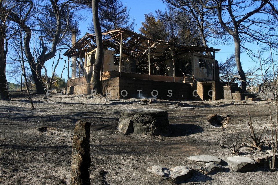 Wildfire at Marathon, Attica / Πυρκαϊά στον Μαραθώνα