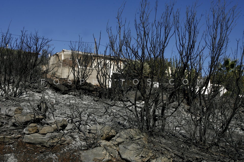 Wildfire at Marathon, Attica / Πυρκαϊά στον Μαραθώνα