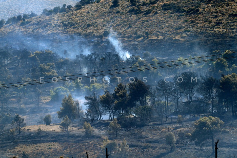 Wildfire at Marathon, Attica / Πυρκαϊά στον Μαραθώνα