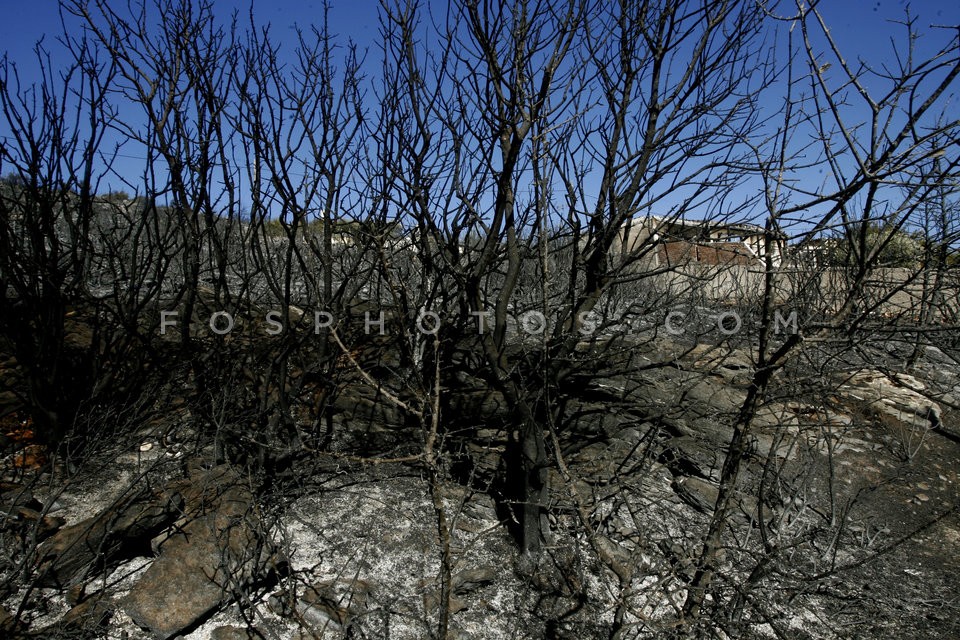 Wildfire at Marathon, Attica / Πυρκαϊά στον Μαραθώνα