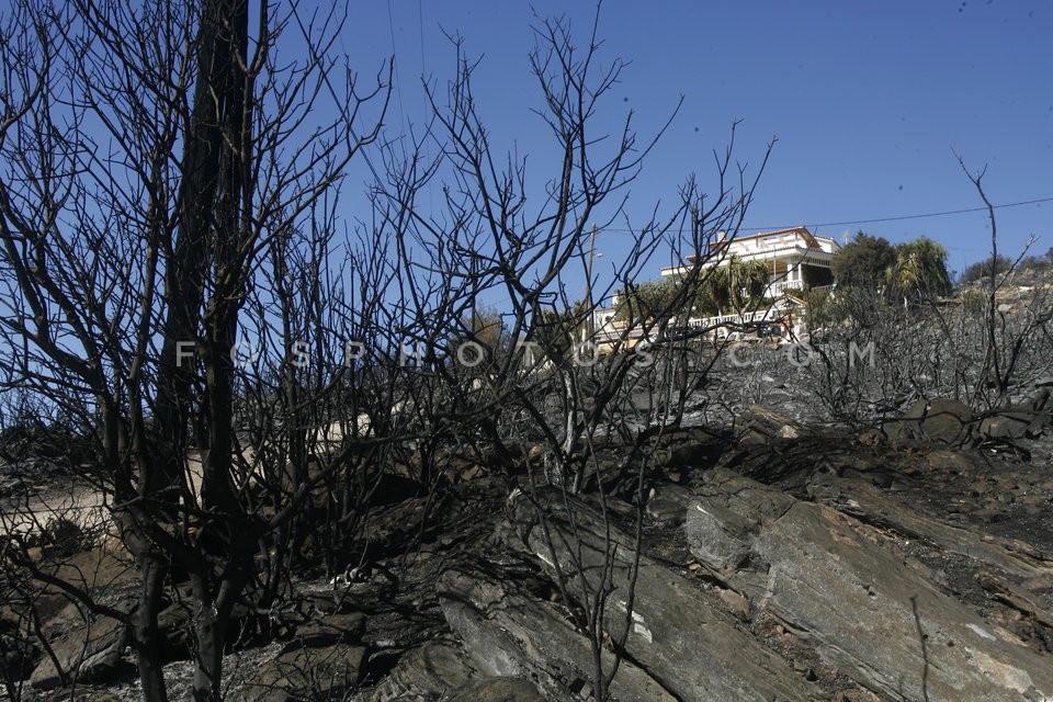 Wildfire at Marathon, Attica / Πυρκαϊά στον Μαραθώνα