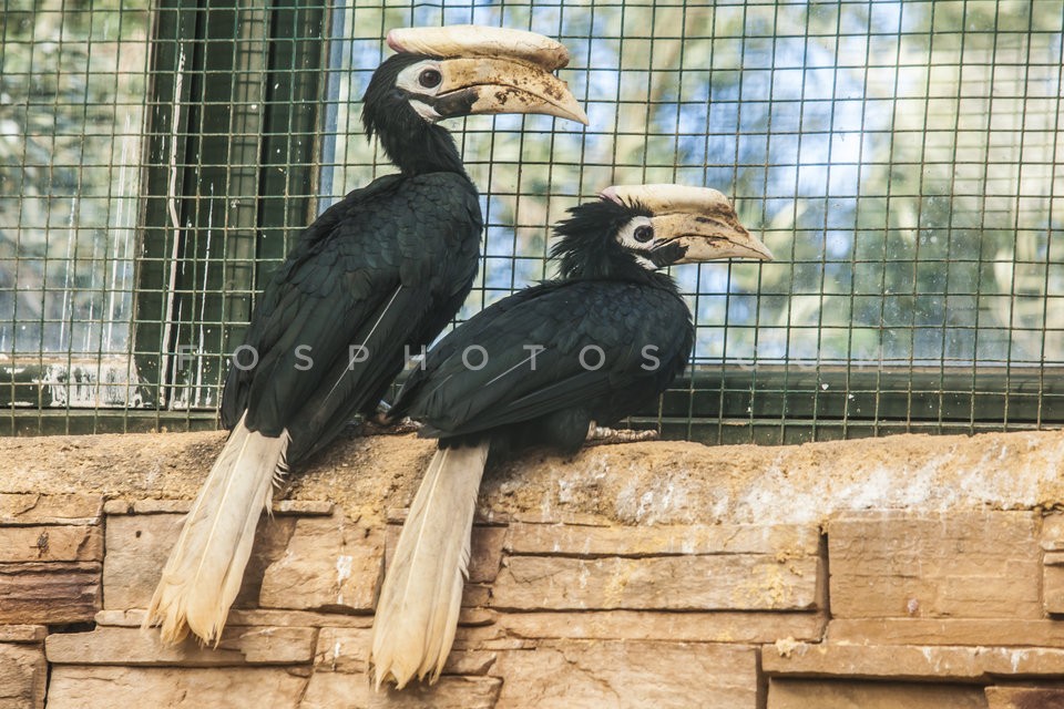 31_attika_zoo (8)