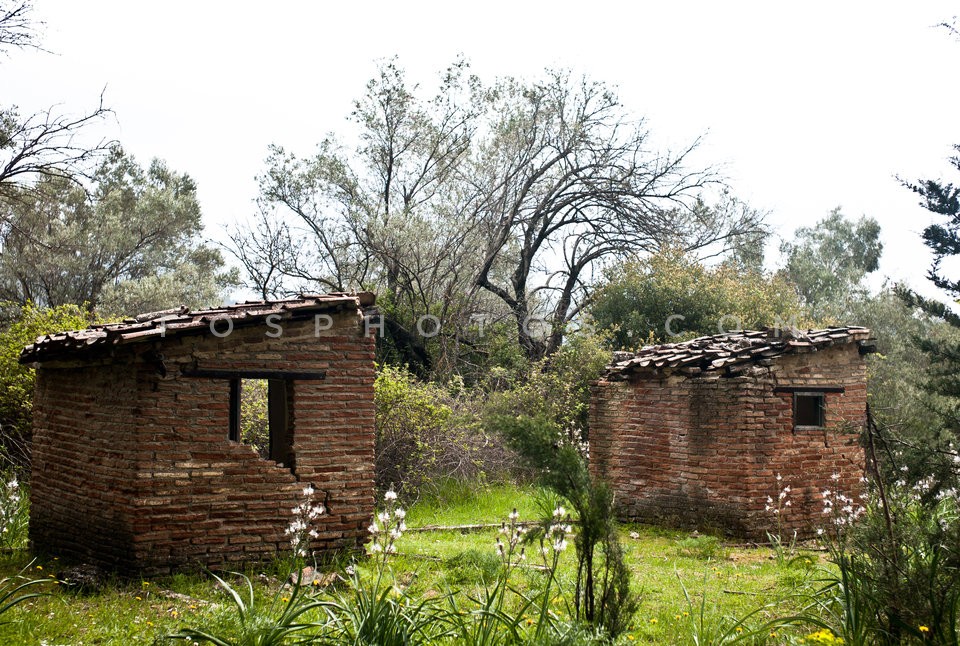 Tatoi / Τατόι