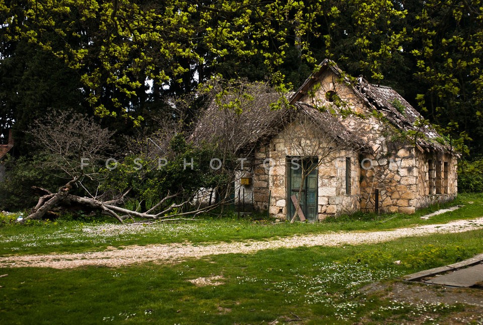 Tatoi / Τατόι