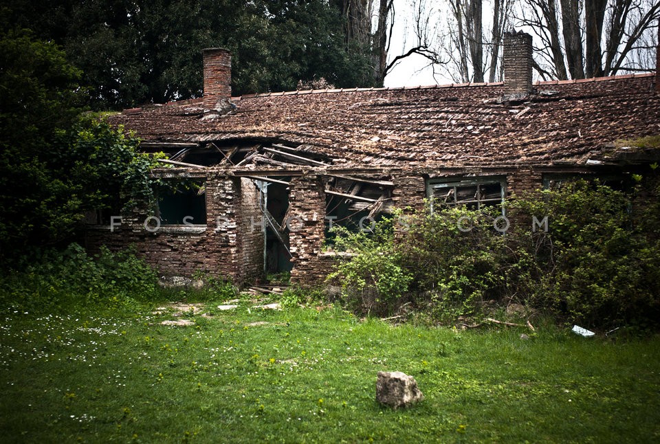 Tatoi / Τατόι