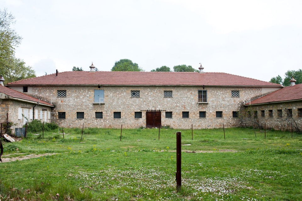 Tatoi / Τατόι